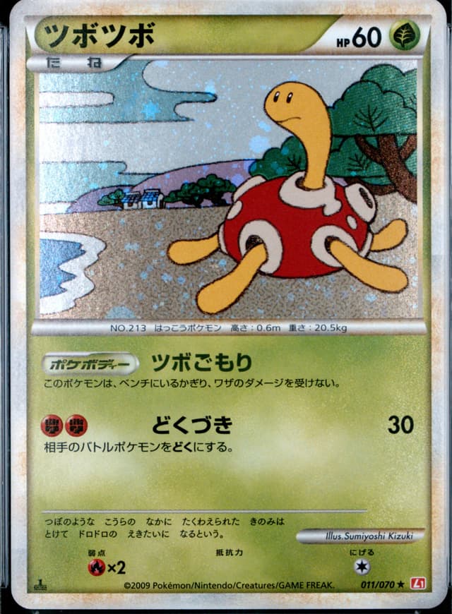 Shuckle-Holo