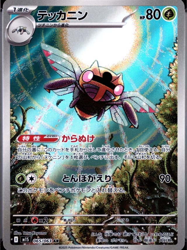 Ninjask
