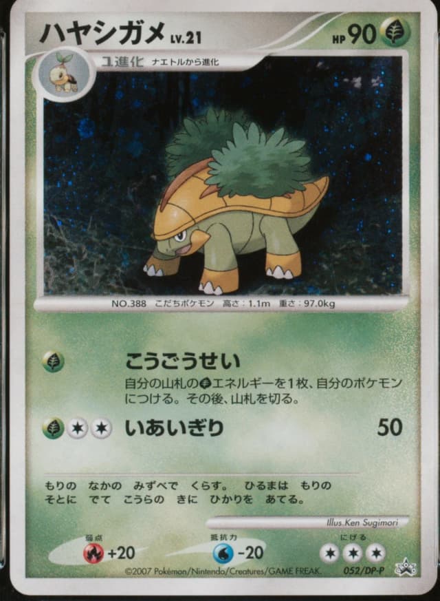 Grotle-Holo