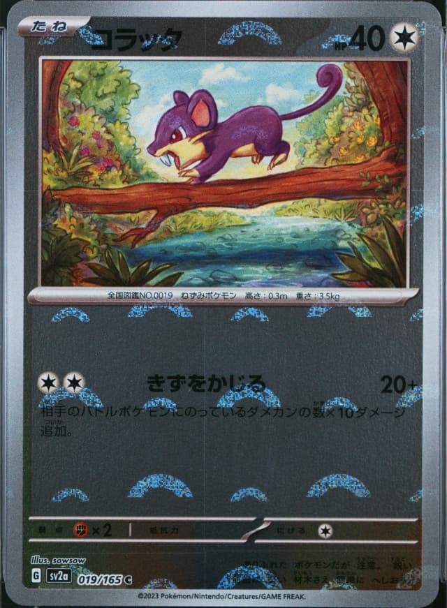 Rattata